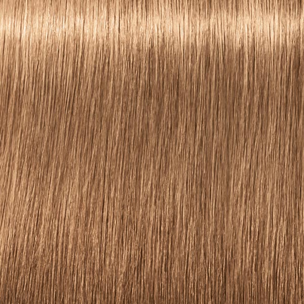 8.65 COLOR10 Hellblond Schoko Gold