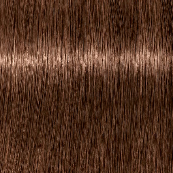 6.6 ROYAL Dunkelblond Schoko