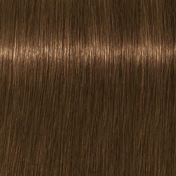 7.140 ABSOLUTES Mittelblond Cendré Beige Natur