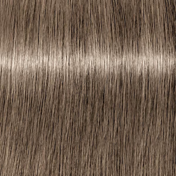 8.1 ROYAL Hellblond Cendré