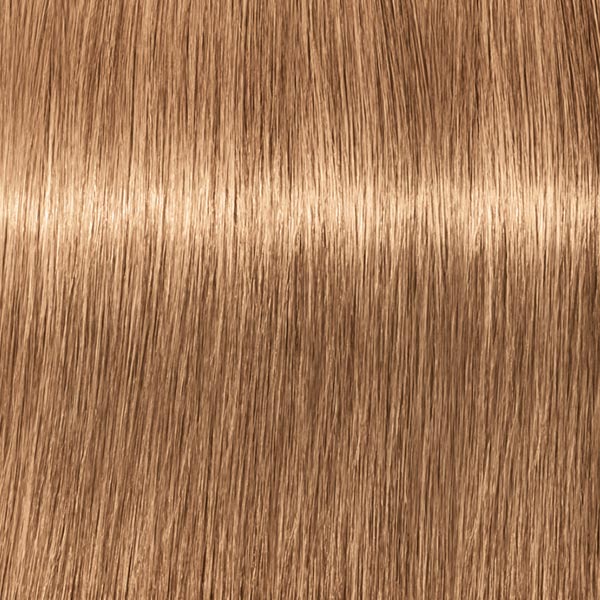 8.65 ROYAL Hellblond Schoko Gold