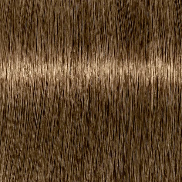 6.460 ABSOLUTES Dunkelblond Beige Schoko Natur