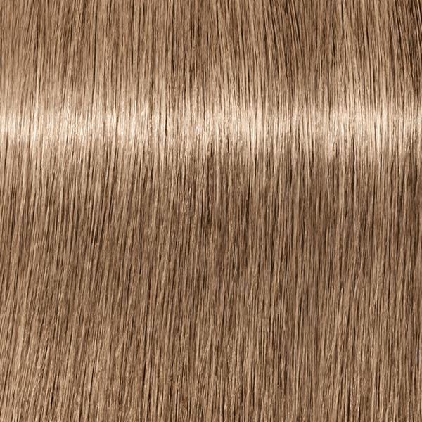 8.01 ABSOLUTES Hellblond Natur Cendré