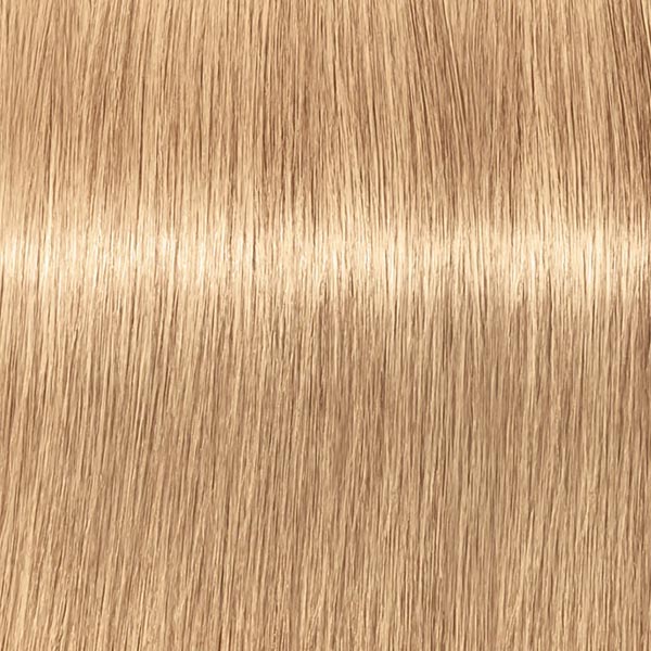 9.560 ABSOLUTES Extra Hellblond Gold Schoko Natur