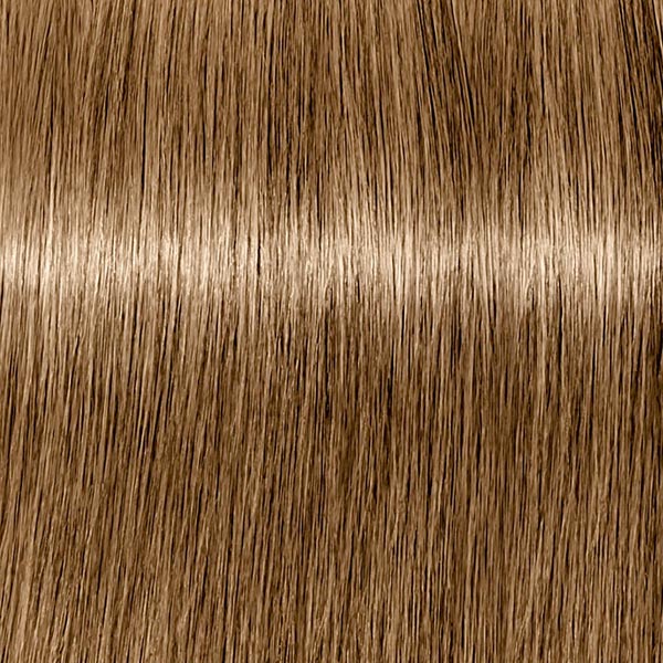 7.560 ABSOLUTES Mittelblond Gold Schoko Natur