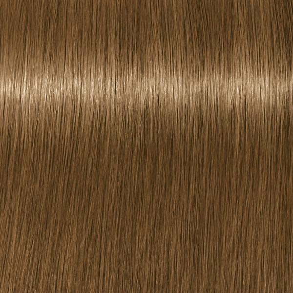 8.140 ABSOLUTES Hellblond Cendré Beige Natur