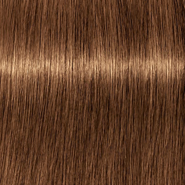 7.55 ROYAL Mittelblond Gold Extra