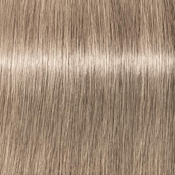 9.1 ROYAL Extra Hellblond Cendré