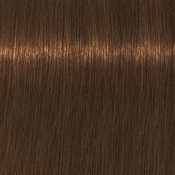 7.460 ABSOLUTES Mittelblond Beige Schoko Natur