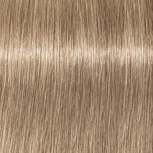 9.19 ROYAL Extra Hellblond Cendré Violett