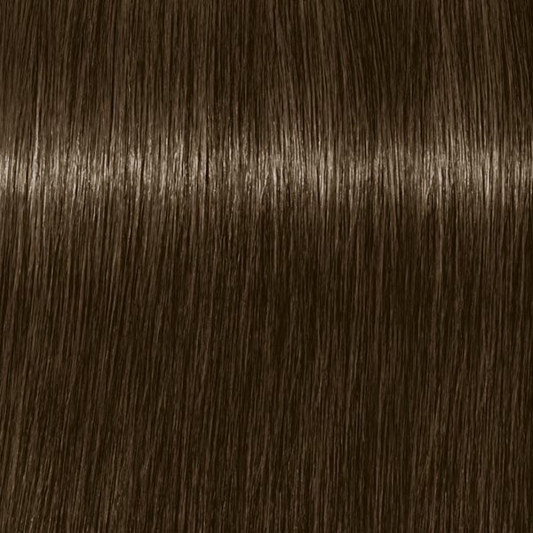6.16 ROYAL Dunkelblond Cendré Schoko