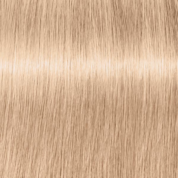 10.19 HIGHLIFTS Ultrablond Cendré Violett