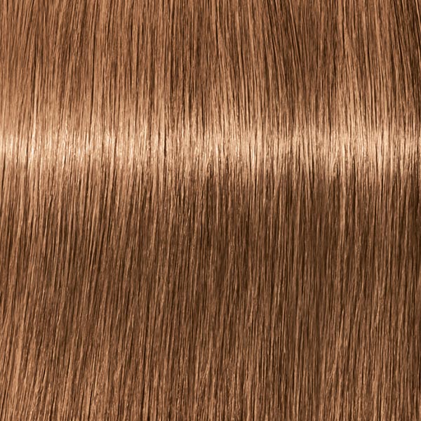 7.65 ROYAL Mittelblond Schoko Gold